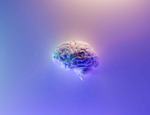 What is the difference between the conscious & unconscious mind?