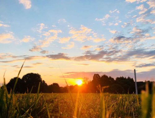 Creating a Healthy Morning Routine