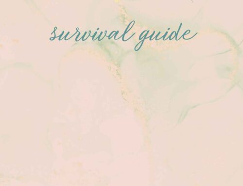 Silly Season Survival Guide – Free e-book