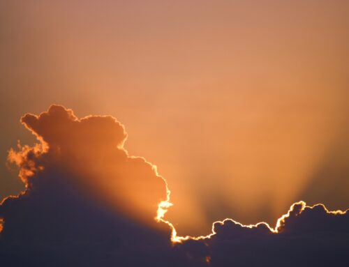 Come Out of the Shadows and Shine Your Light