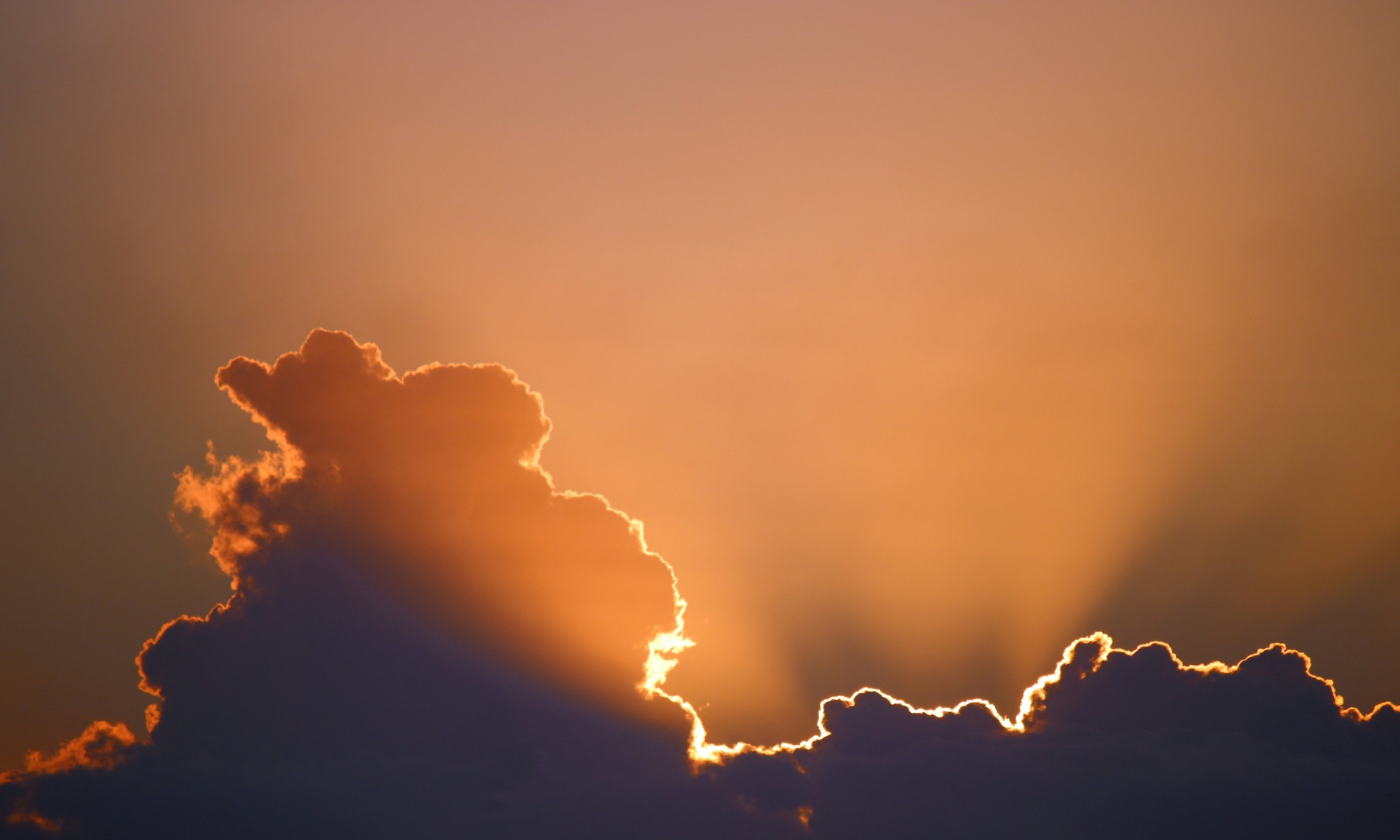 Coming Out of the Shadows and Shining Your Light